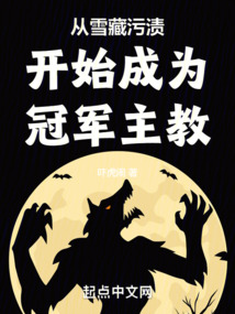 从雪藏污渍开始成为冠军主教!