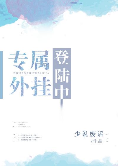 专属外挂登录中