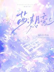 盐渍月亮音乐