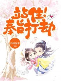 站住!奉旨打劫