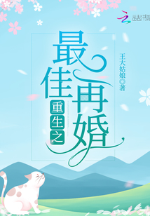 重生之最佳再婚免费阅读全文
