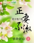大宅门:正妻不淑