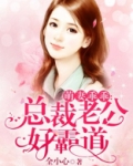 萌妻乖乖:总裁老公好霸道